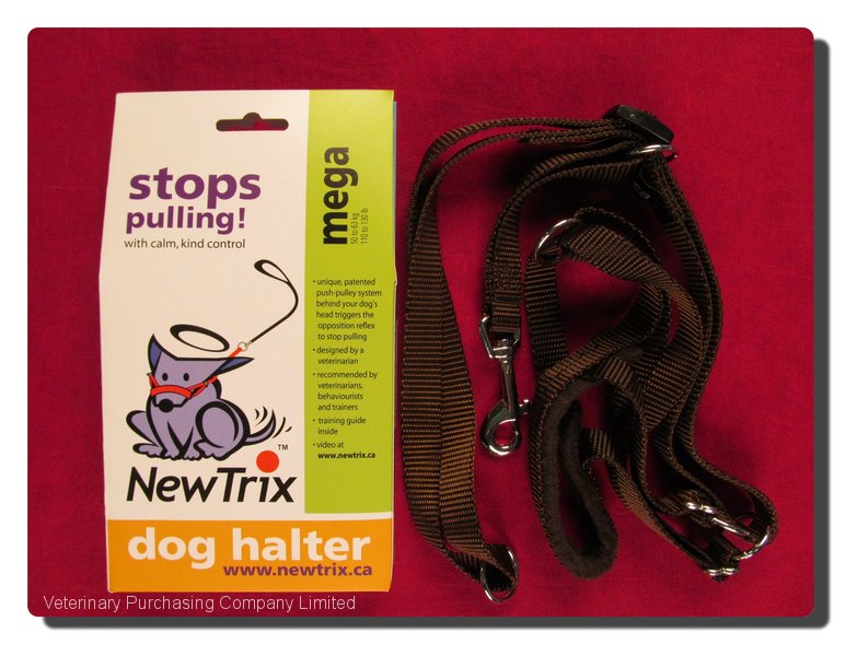 newtrix dog halter