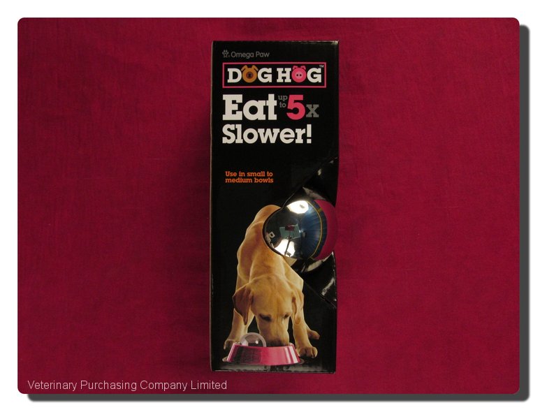 dog hog slow feeder