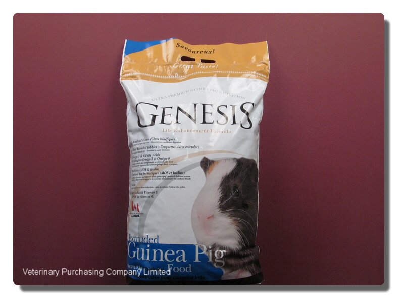 genesis guinea pig