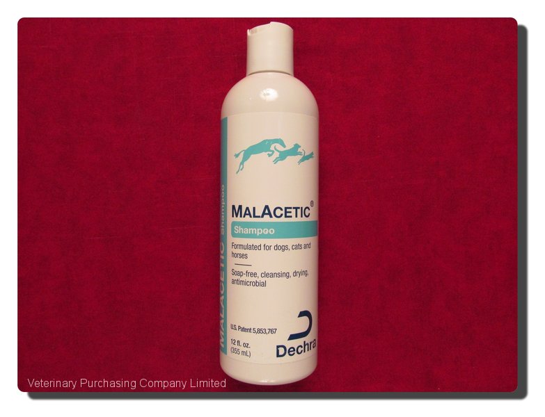 malacetic shampoo for dogs