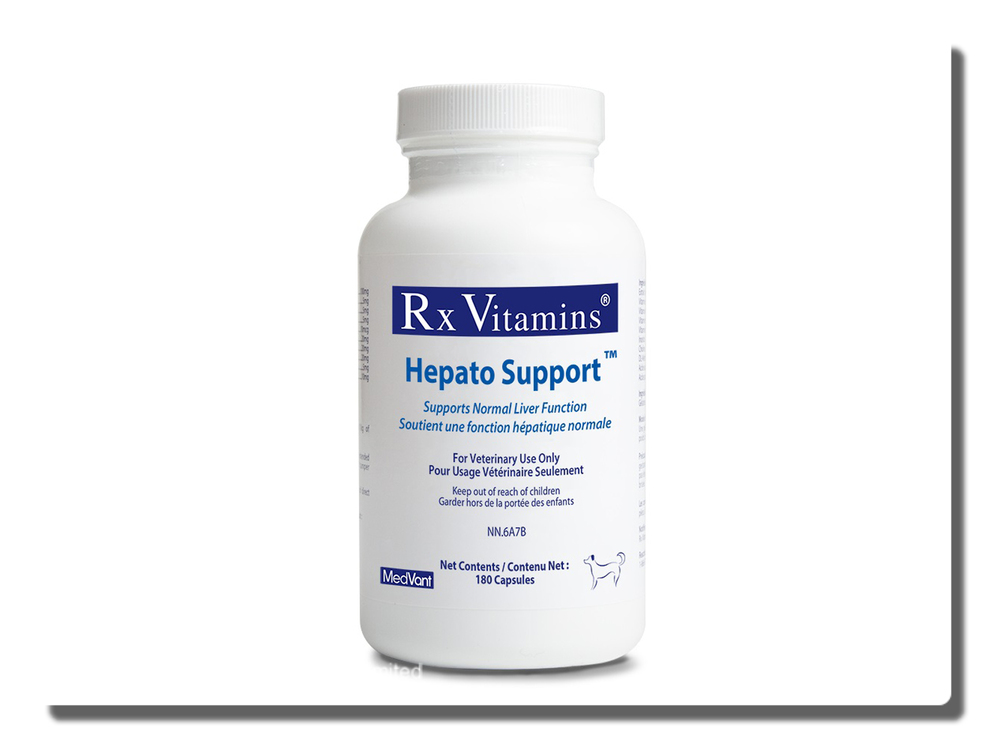 hepato support